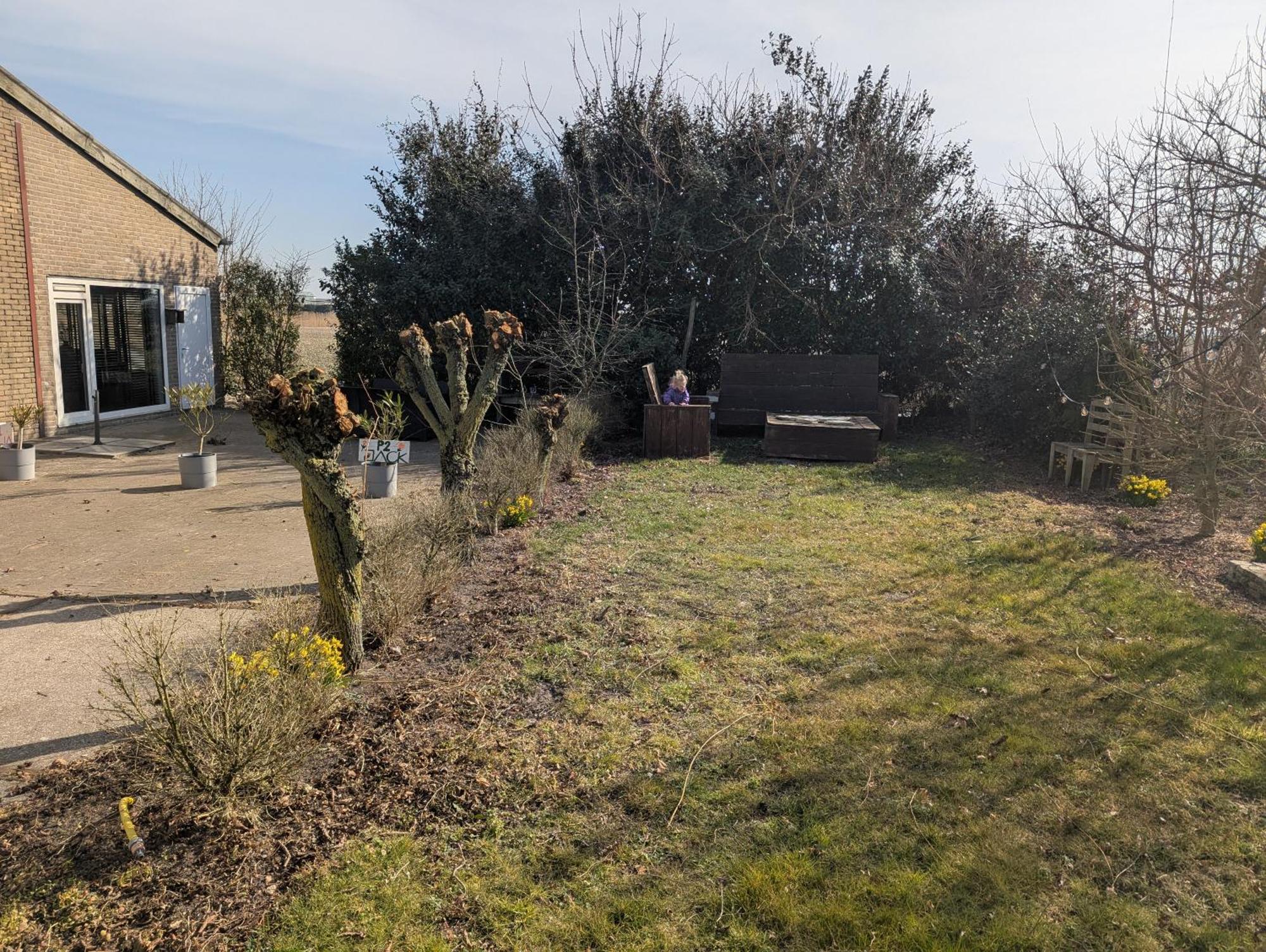 Villa The Tulip Julia Julianadorp Exterior photo